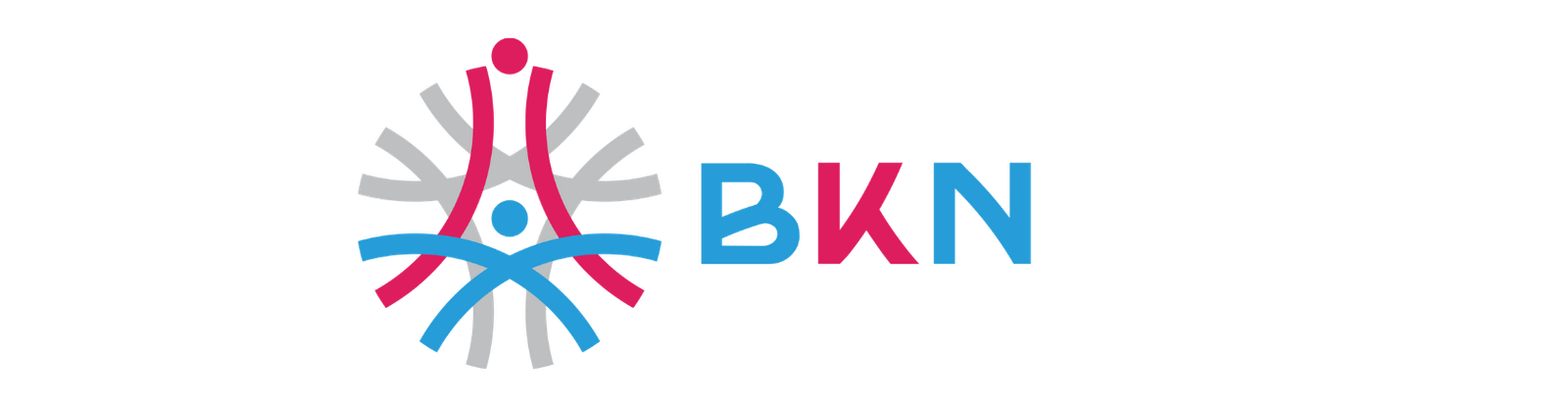 BKN LOGO